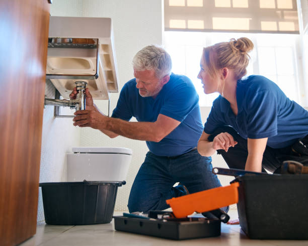Best Plumbing Services Near Me  in Bolingbrook, IL
