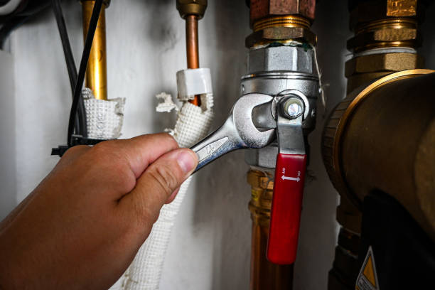 Best Commercial Plumbing Services  in Bolingbrook, IL
